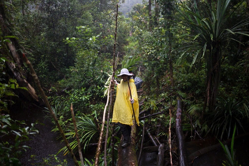 Sự thật về bộ tộc ăn thịt người cuối cùng còn sót lại trên Trái đất - 3