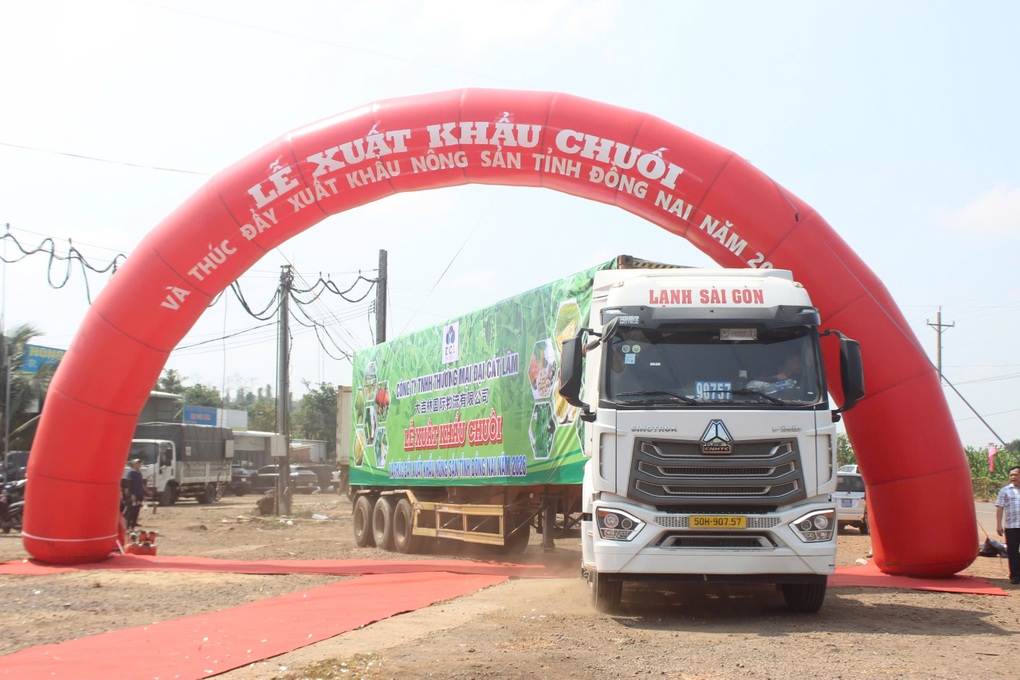 Đồng Nai xuất 220 tấn chuối tươi sang Nhật Bản, Hàn Quốc, Trung Quốc - 2