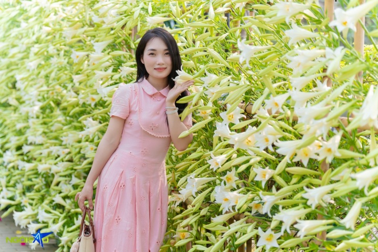 Con đường hoa loa kèn trong nông trại 16.000 m2 hút khách check-in - 4