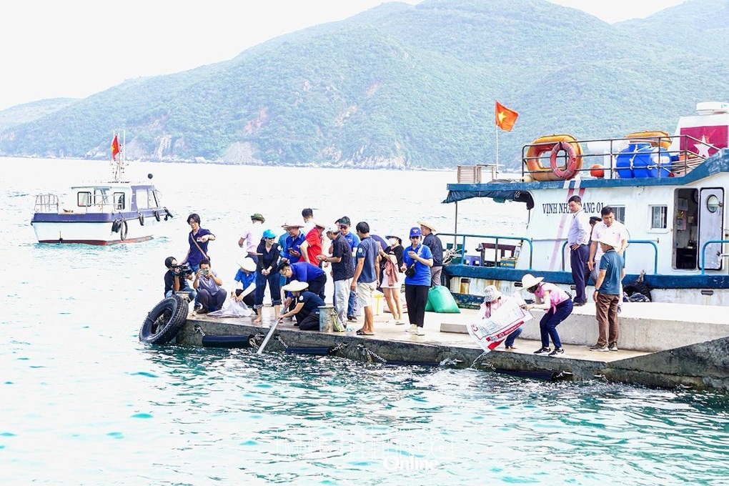 Từ du lịch đến bảo tồn biển: KDI Holdings vì sự phát triển ở Khánh Hòa - 3