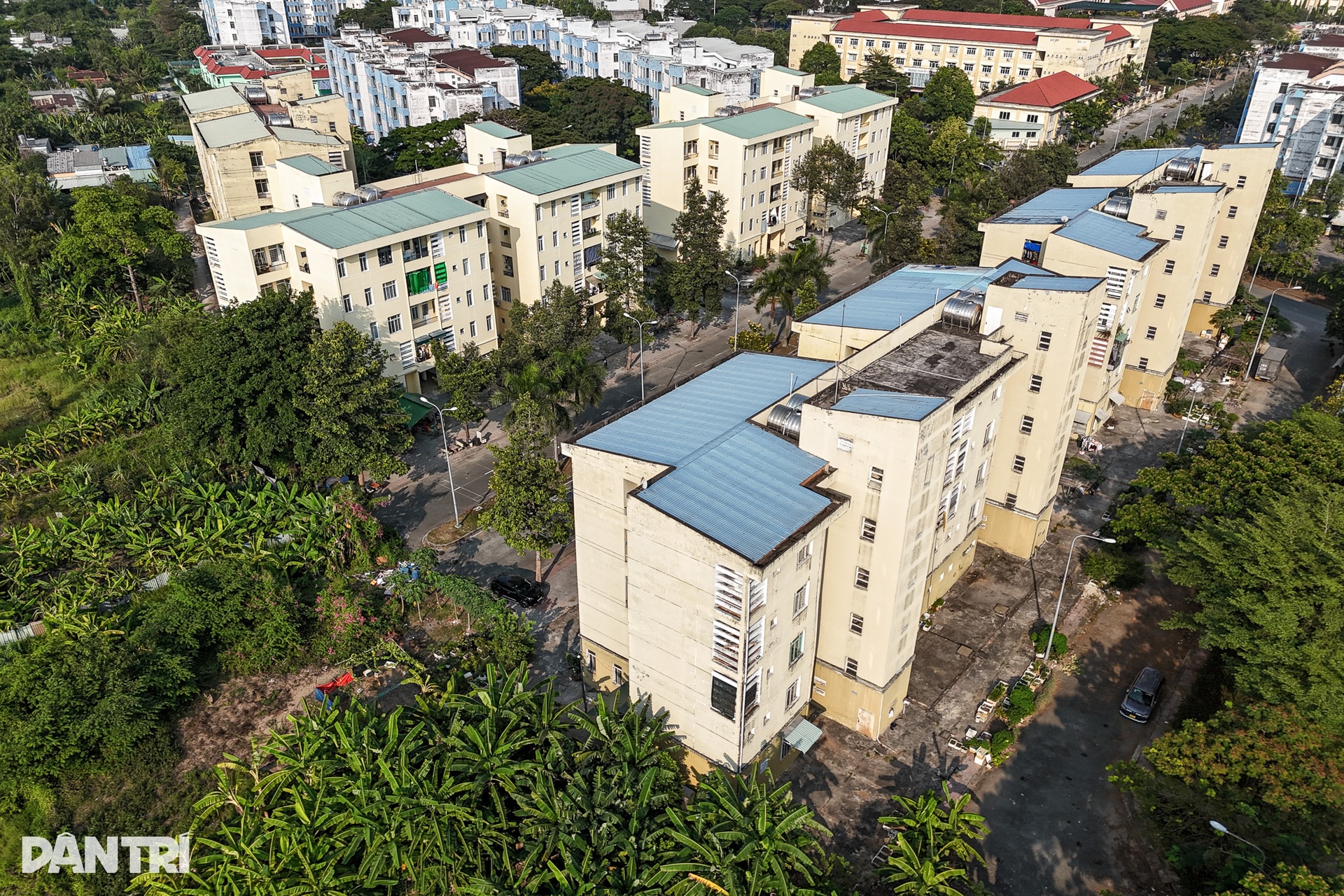 Khu tái định cư nghìn tỷ hoang hóa, dân cư thưa thớt sau 16 năm ở TPHCM - 4