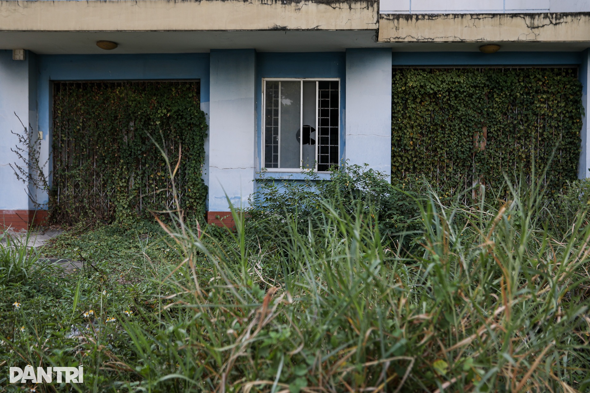 Khu tái định cư nghìn tỷ hoang hóa, dân cư thưa thớt sau 16 năm ở TPHCM - 5