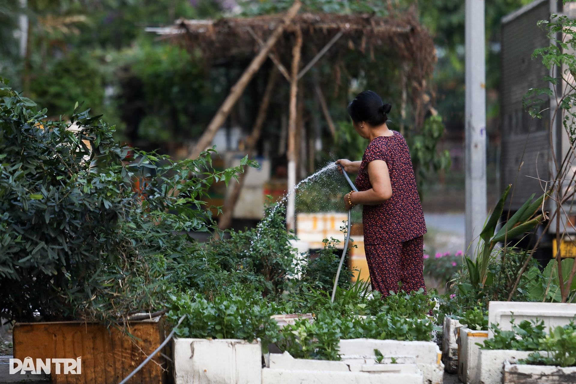 Khu tái định cư nghìn tỷ hoang hóa, dân cư thưa thớt sau 16 năm ở TPHCM - 10