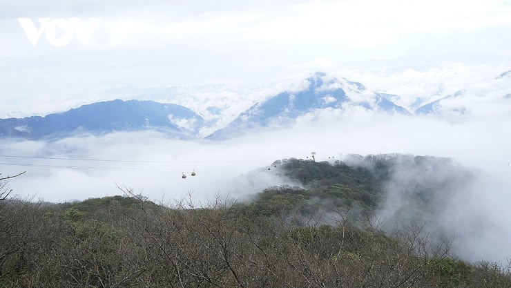 Cáp treo đi giữa biển mây trên núi Phạm Tịnh