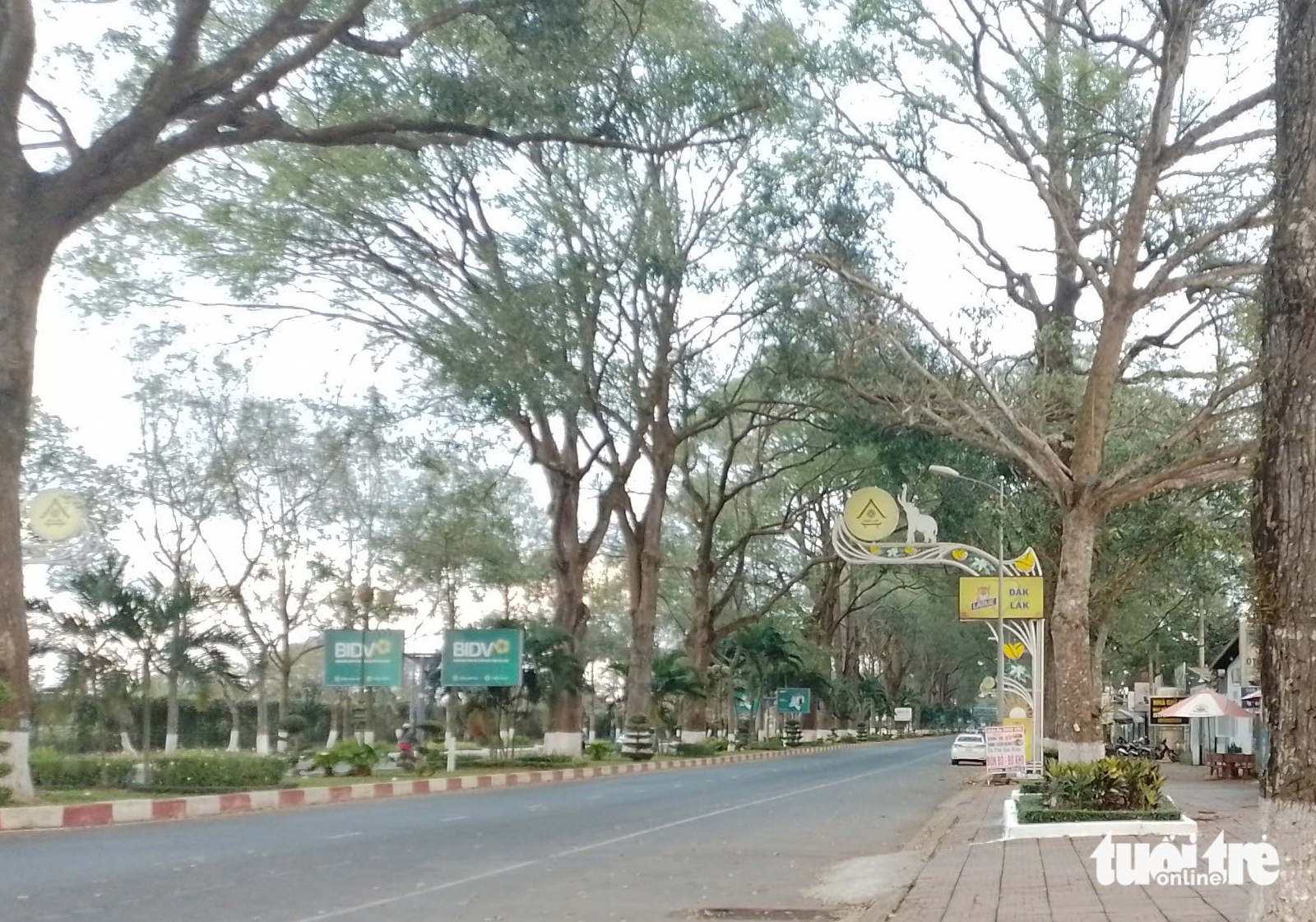 cao tốc - Ảnh 2.