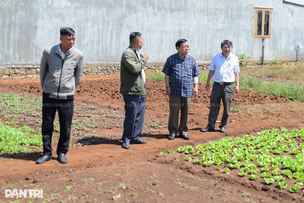 Mua đất, xây nhà mới cho bé gái 16 tuổi nuôi 3 em thơ ở Lâm Đồng - 3