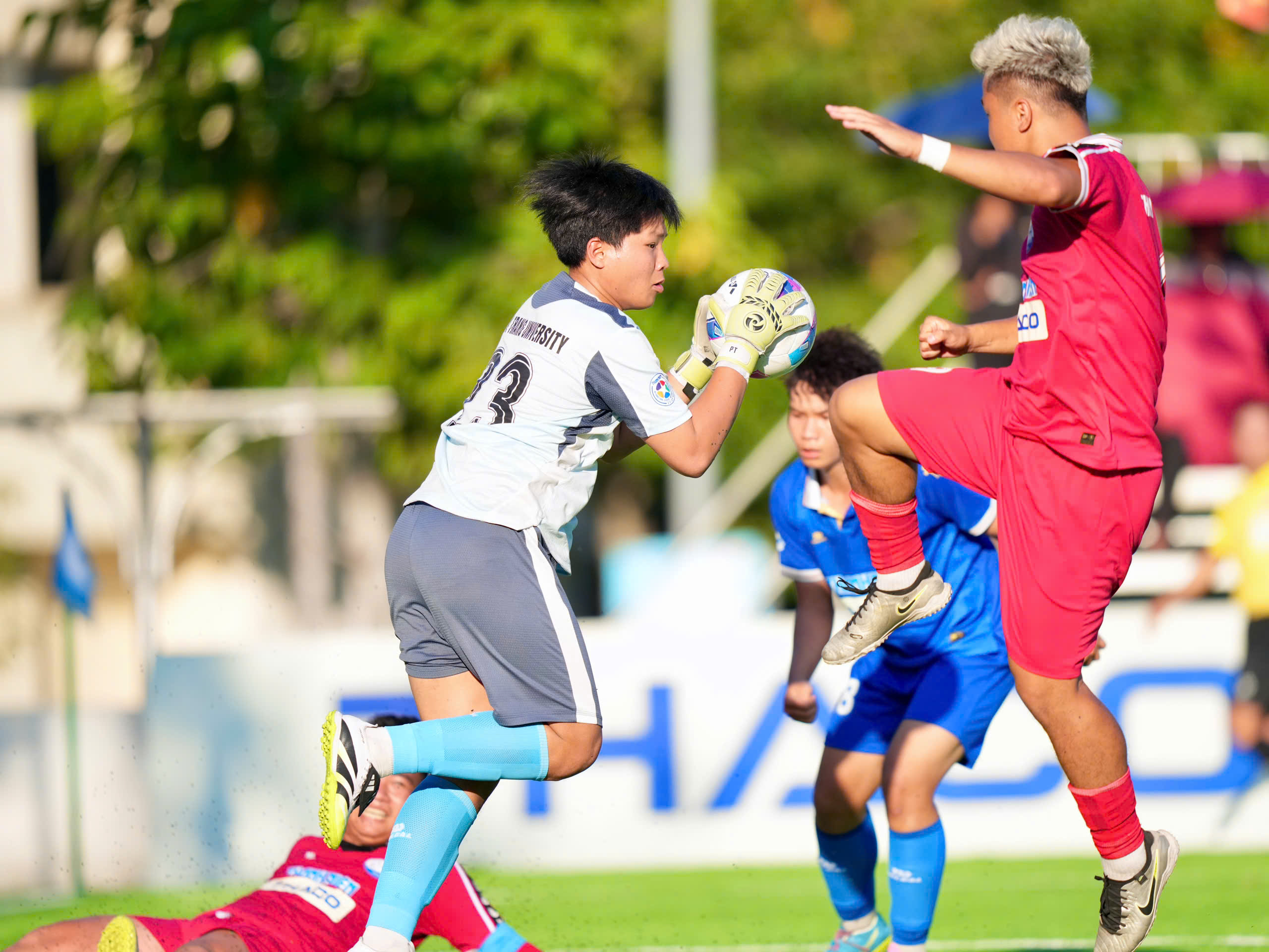 'Trường ĐH Nha Trang, đứng lên...'- Ảnh 2.