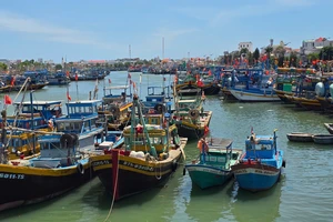 Vì sao giám đốc Trung tâm đăng kiểm tàu cá Lâm Đồng cùng 2 thuộc cấp bị bắt?