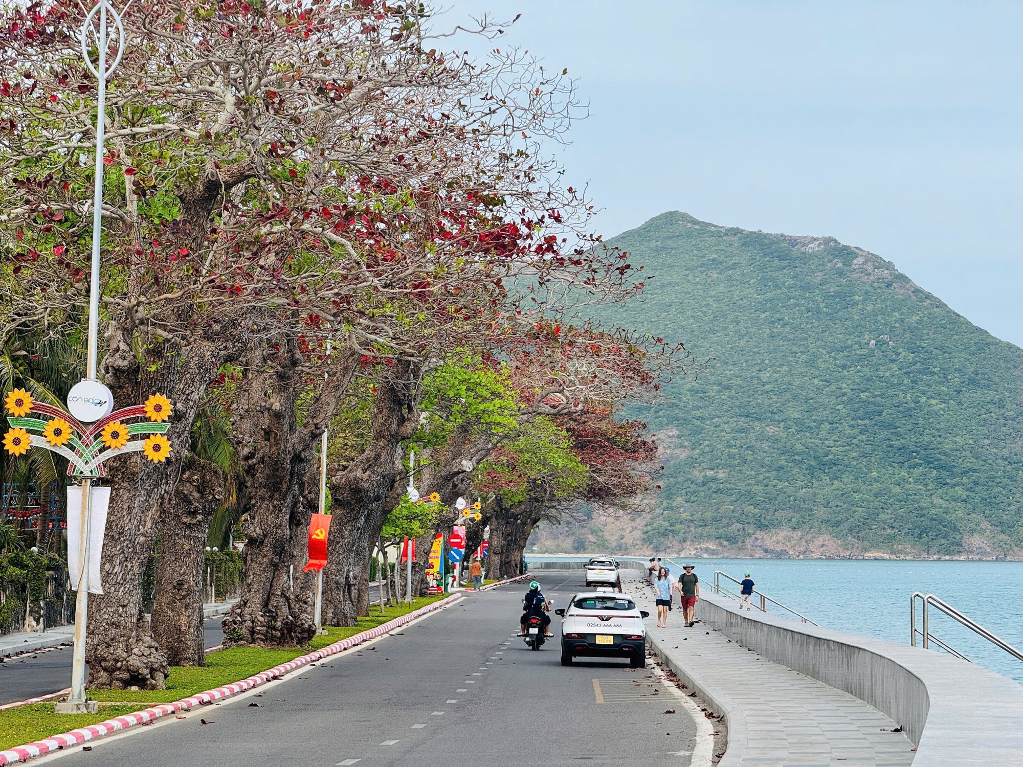 Chủ tịch UBND TPHCM Nguyễn Văn Được: Không đánh đổi môi trường để phát triển Côn Đảo - Ảnh 3.