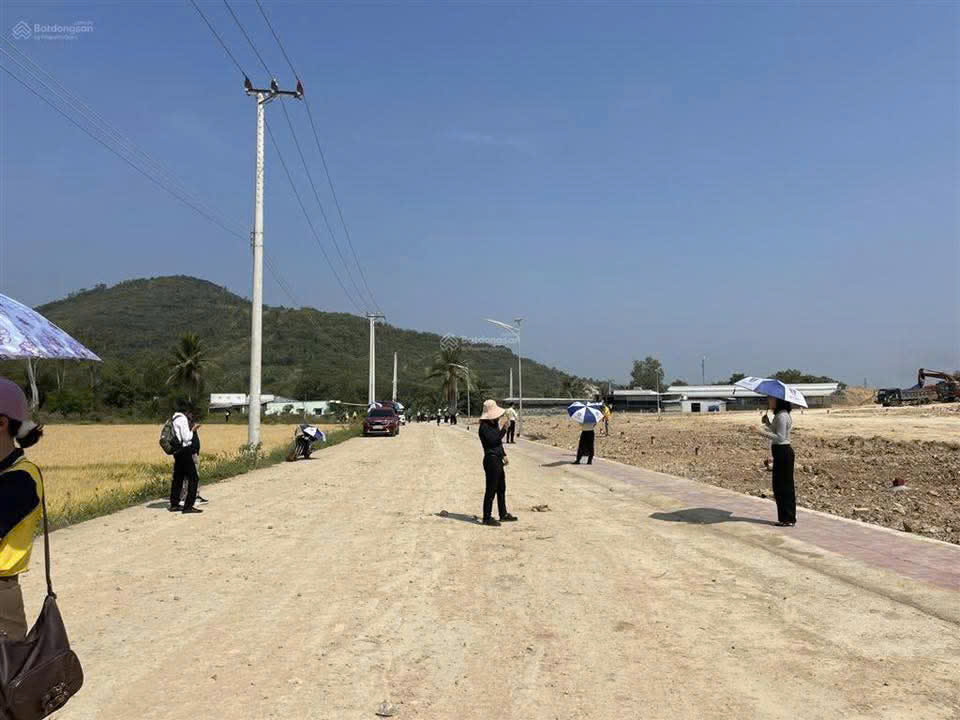 Xác minh có hay không việc bao che, tiếp tay 3 Vụ “cạo sạch cả quả đồi”: Xác minh có hay không bao che, tiếp tay - Ảnh 3.