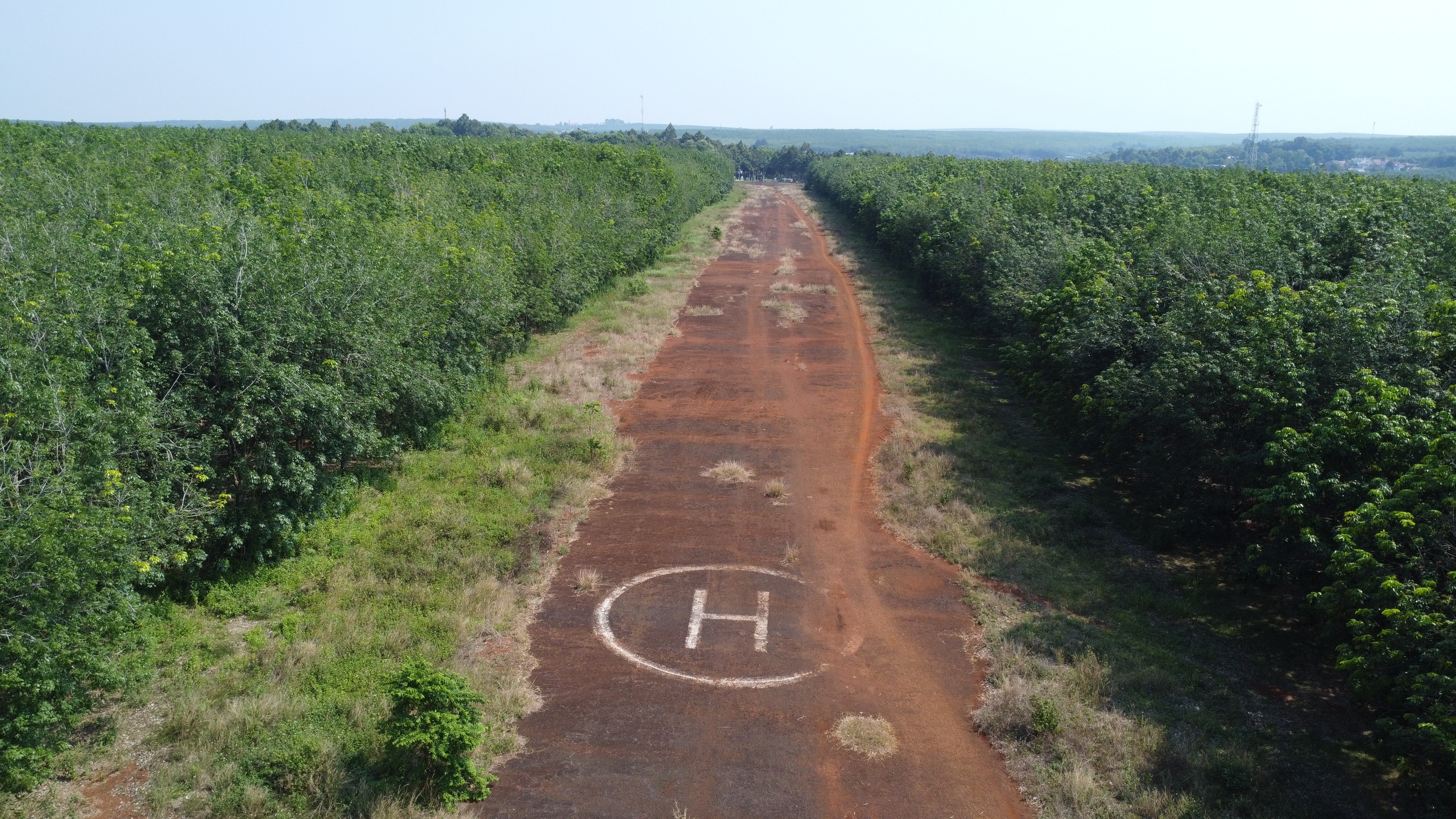 Thành lập 10 phường mới ở Đồng Nai: Lộc Ninh đô thị gần biên giới- Ảnh 7.