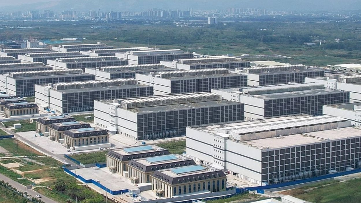 60 tấn thịt lợn ám ảnh quốc gia giàu nhất châu Á: Nhiều nông hộ đang lỗ 1 triệu đồng/con, dư thừa hàng loạt 'chung cư lợn'- Ảnh 2.