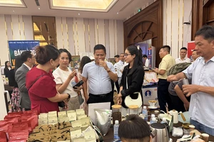 Ba nguyên nhân chính khiến giá cà phê rớt khỏi 'đỉnh' và dự báo mới nhất