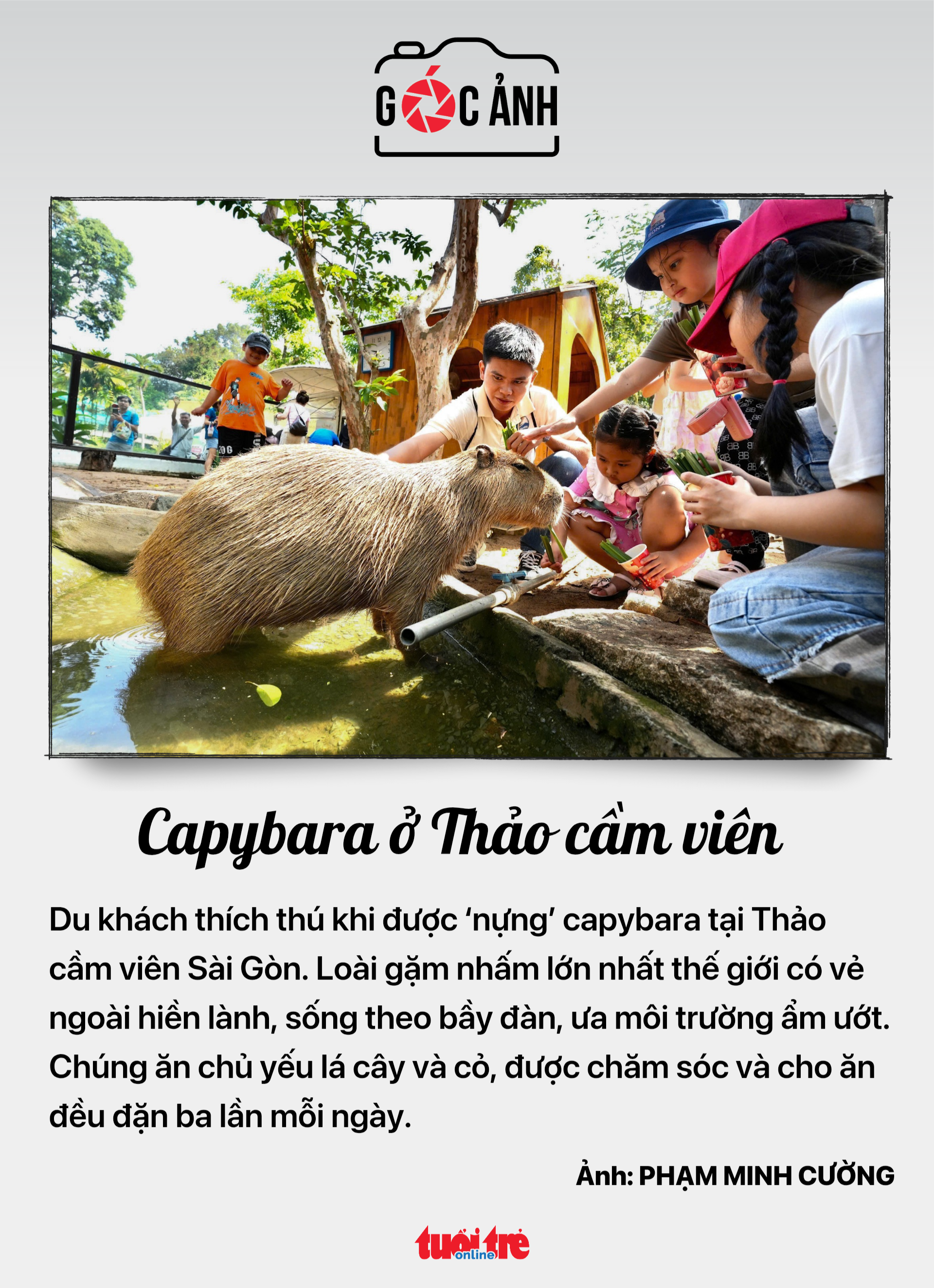 Tin tức sáng 5-4: Sáng nay, người dân TP.HCM có thể đến 58 điểm khám sức khỏe miễn phí 5 khám sức khỏe miễn phí - Ảnh 6.