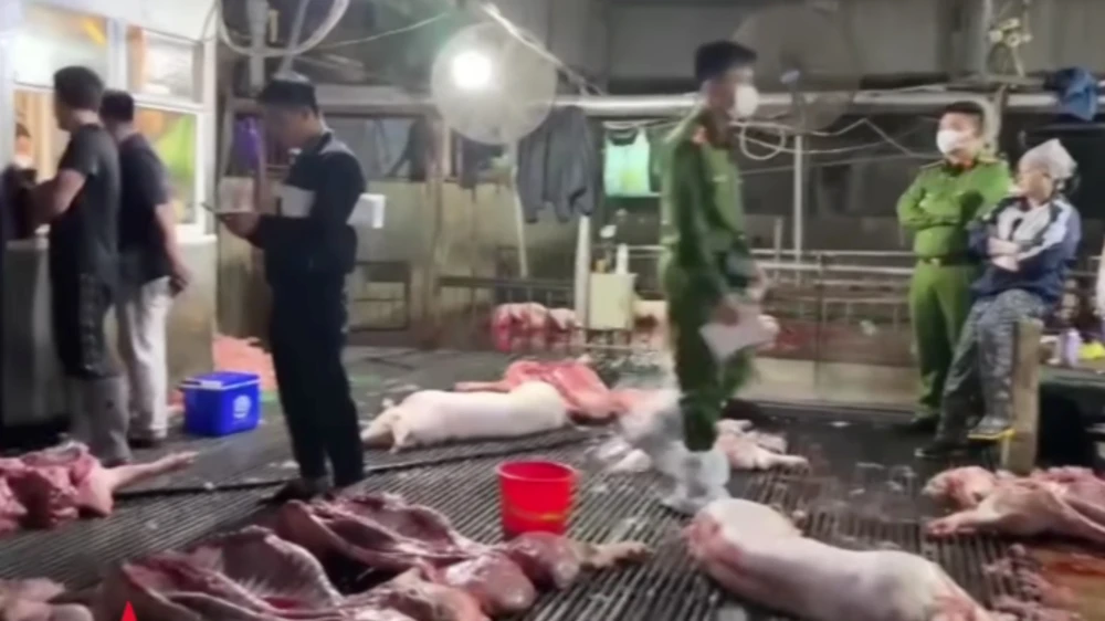 Công an kiểm tra lò mổ lợn. Lo mo.jpg