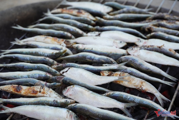 Món ngon bên đền thiêng xứ Nghệ khiến du khách ăn một lần nhớ mãi 3 Cá trích nướng thơm ngon với thịt trắng, béo ngậy