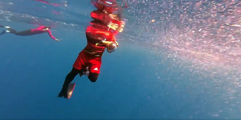 Các thợ lặn nhảy xuống biển quay clip đàn cá voi. ca-voi.png