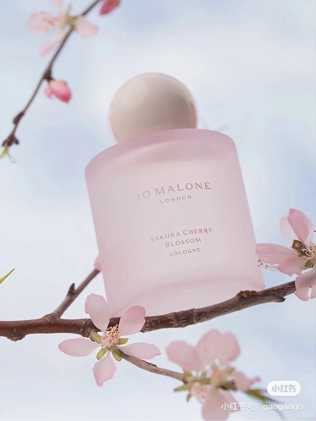 Linh nghiệm hơn cả đi cầu duyên: Top nước hoa 