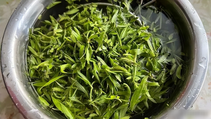 Loại rau dại giàu vitamin, giúp thanh nhiệt, giải độc, ăn một miếng cảm nhận hương vị mùa xuân đích thực - 3