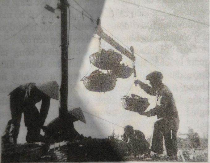 Chuyển gạch vào công trường Bắc Hưng Hải. Ảnh: Bộ Nông nghiệp và Môi trường