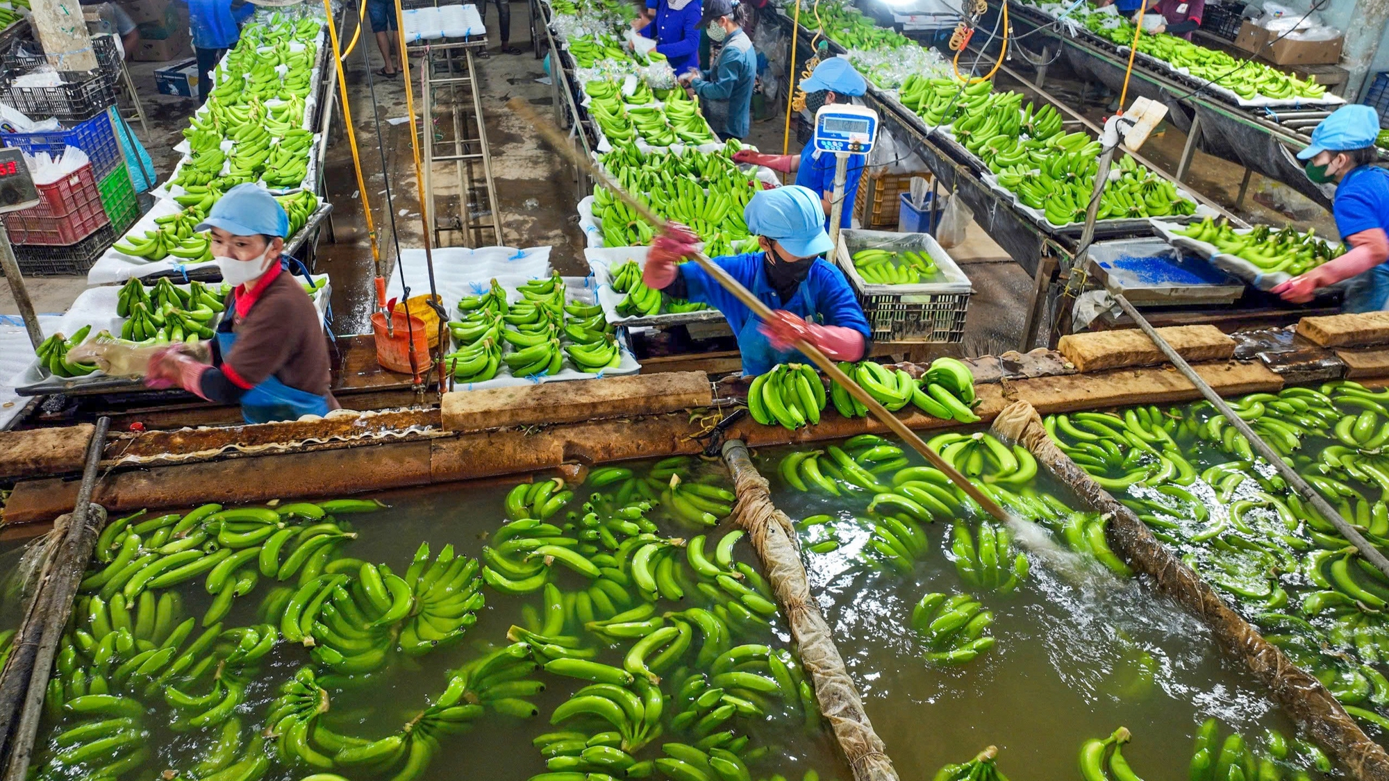 Cải cách thể chế thúc đẩy tăng trưởng hai con số - Ảnh 2.