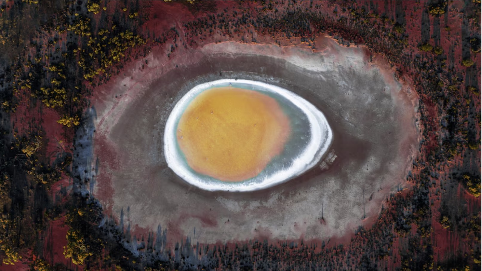 Tin tức thế giới 6-4: - Ảnh 1.