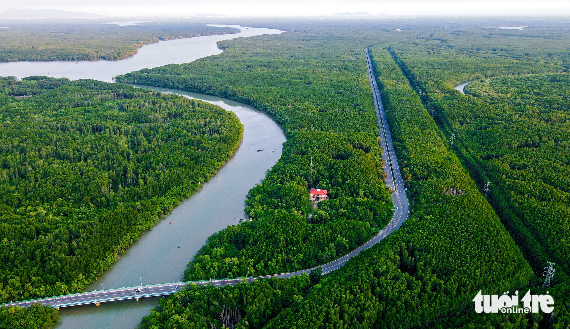 Flycam đường Rừng Sác dự kiến sẽ mở 10 làn xe, nối trung tâm TP.HCM đến Cần Giờ 6 Rừng Sác - Ảnh 6.