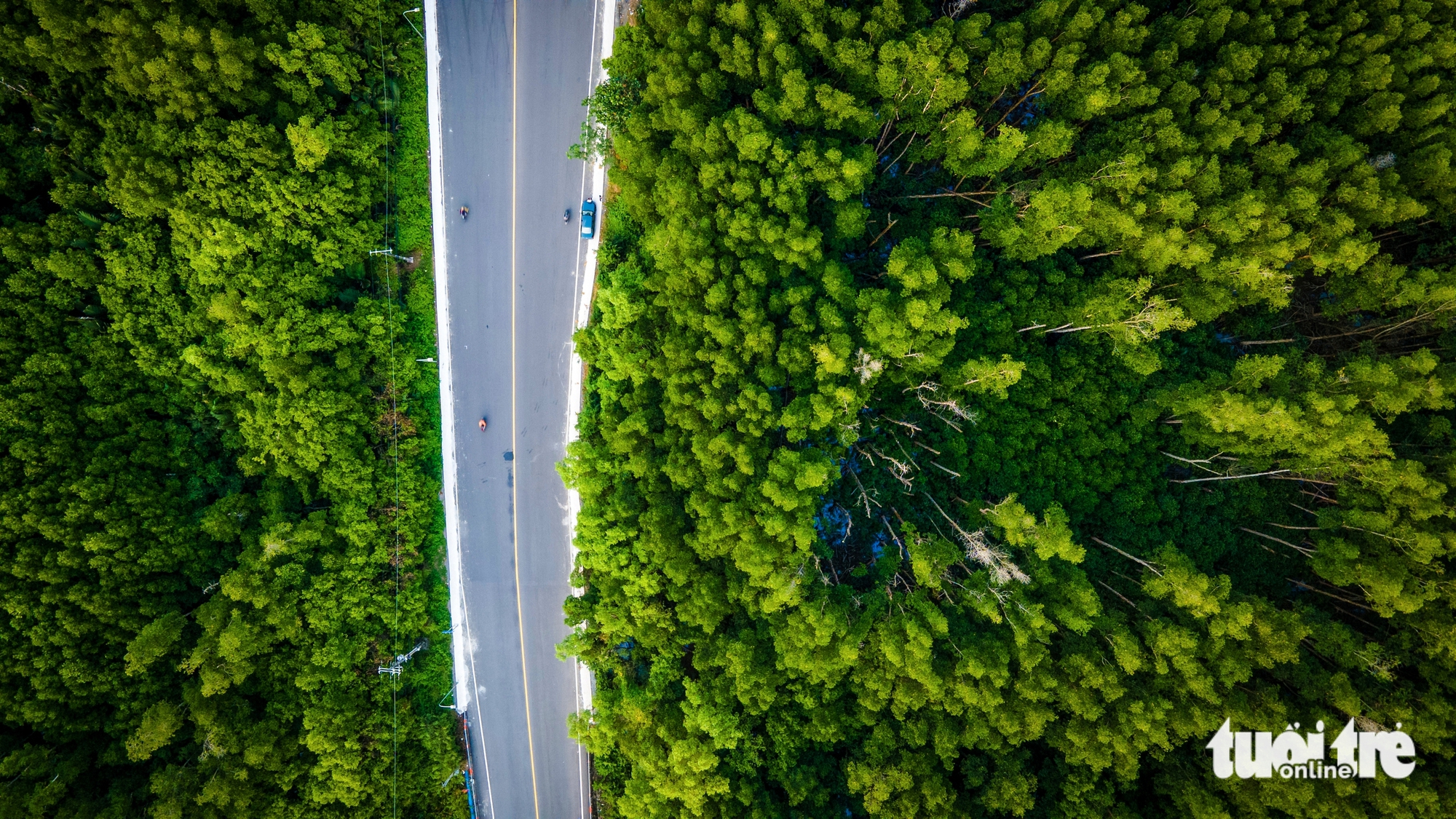 Flycam đường Rừng Sác dự kiến sẽ mở 10 làn xe, nối trung tâm TP.HCM đến Cần Giờ 7 Rừng Sác - Ảnh 7.