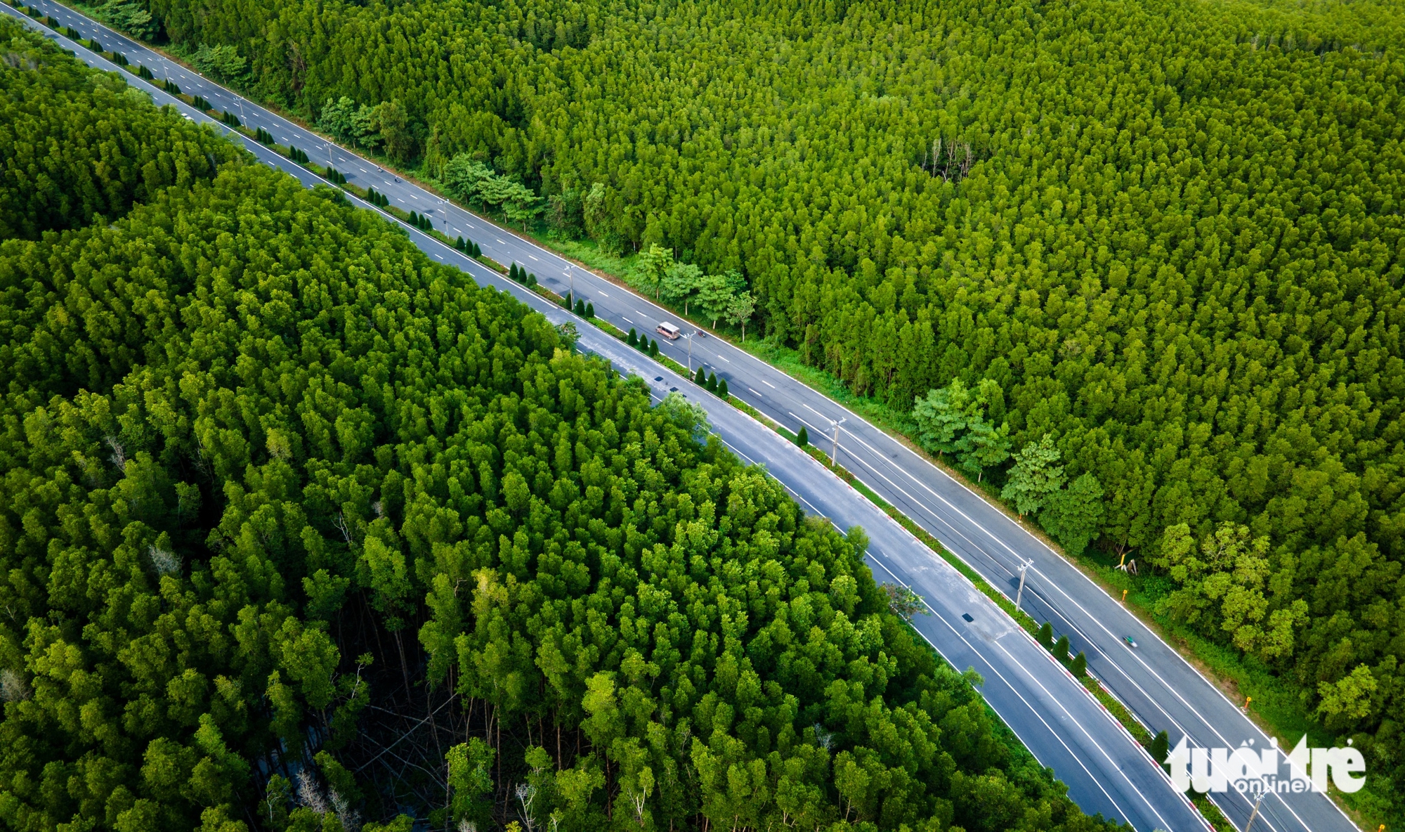 Flycam đường Rừng Sác dự kiến sẽ mở 10 làn xe, nối trung tâm TP.HCM đến Cần Giờ 10 Rừng Sác - Ảnh 13.