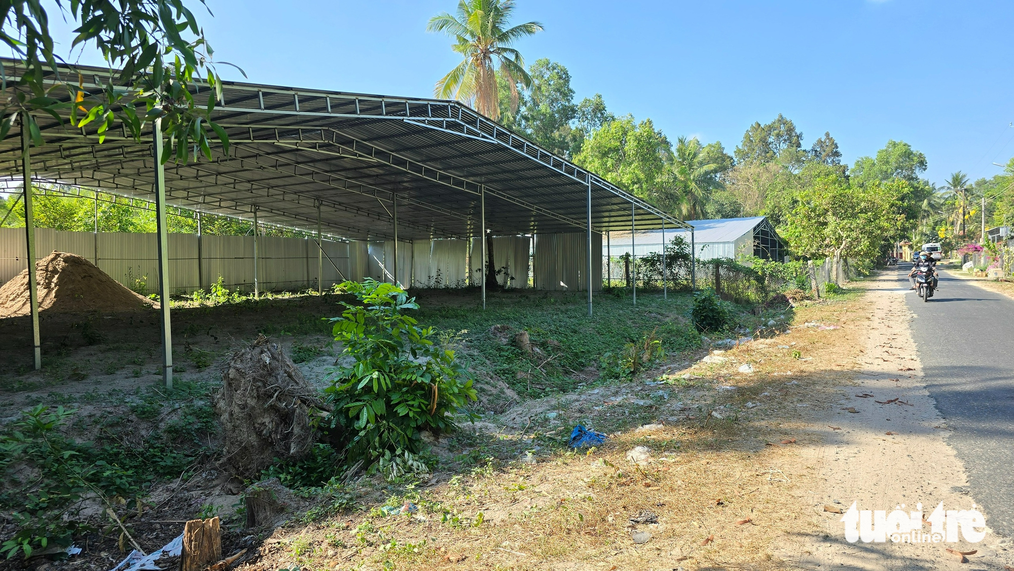 Báo động tình trạng xây dựng trái phép và trồng cây đón dự án đường kết nối cao tốc 2 Báo động tình trạng xây dựng trái phép và trồng cây đón dự án đường kết nối cao tốc - Ảnh 3.