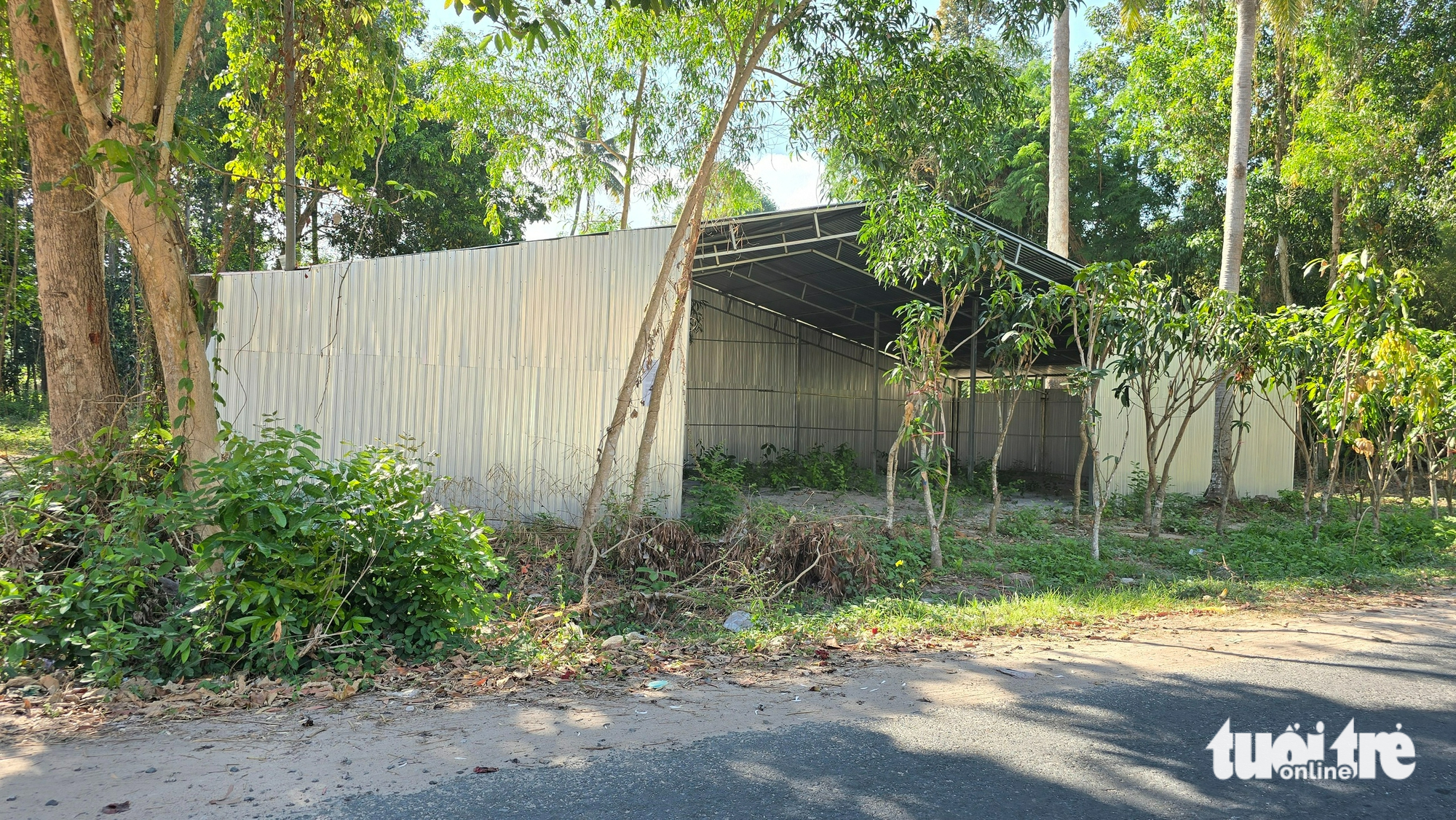 Báo động tình trạng xây dựng trái phép và trồng cây đón dự án đường kết nối cao tốc 3 Báo động tình trạng xây dựng trái phép và trồng cây đón dự án đường kết nối cao tốc - Ảnh 4.