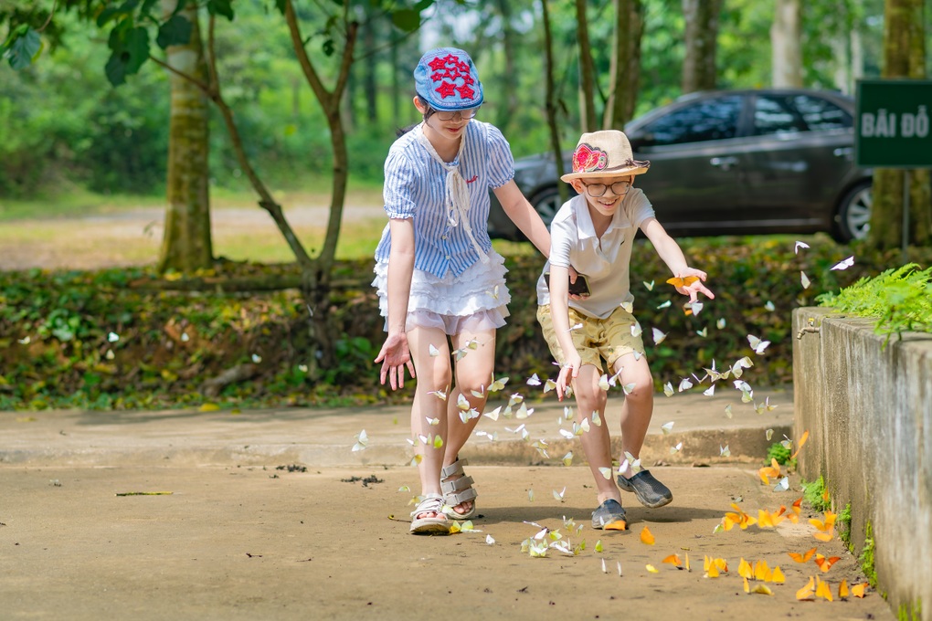 Khách Hà Nội dậy từ 4h, di chuyển 100km đến Cúc Phương chụp ảnh với bướm - 4