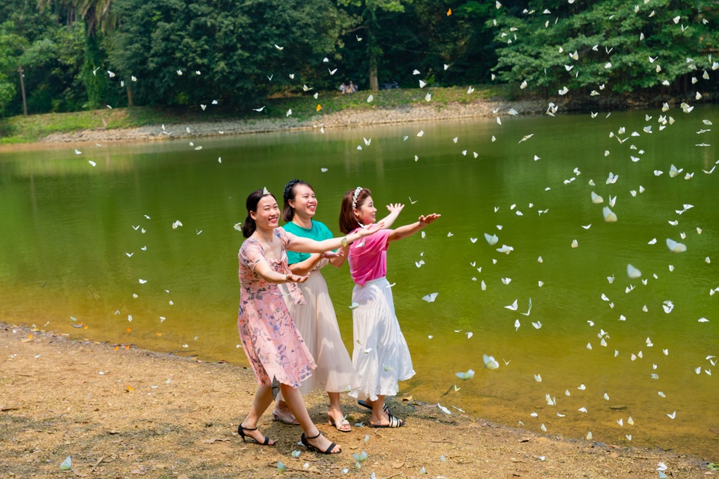 Khách Hà Nội dậy từ 4h, di chuyển 100km đến Cúc Phương chụp ảnh với bướm - 5