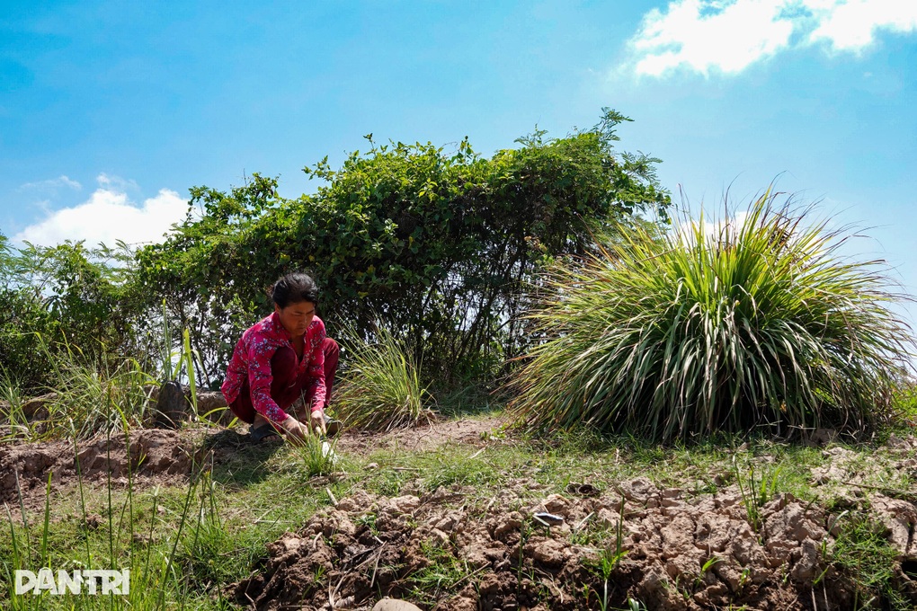 Trụ cột gia đình đổ bệnh hiểm nghèo, vợ làm cỏ mướn nuôi 3 con thơ - 3