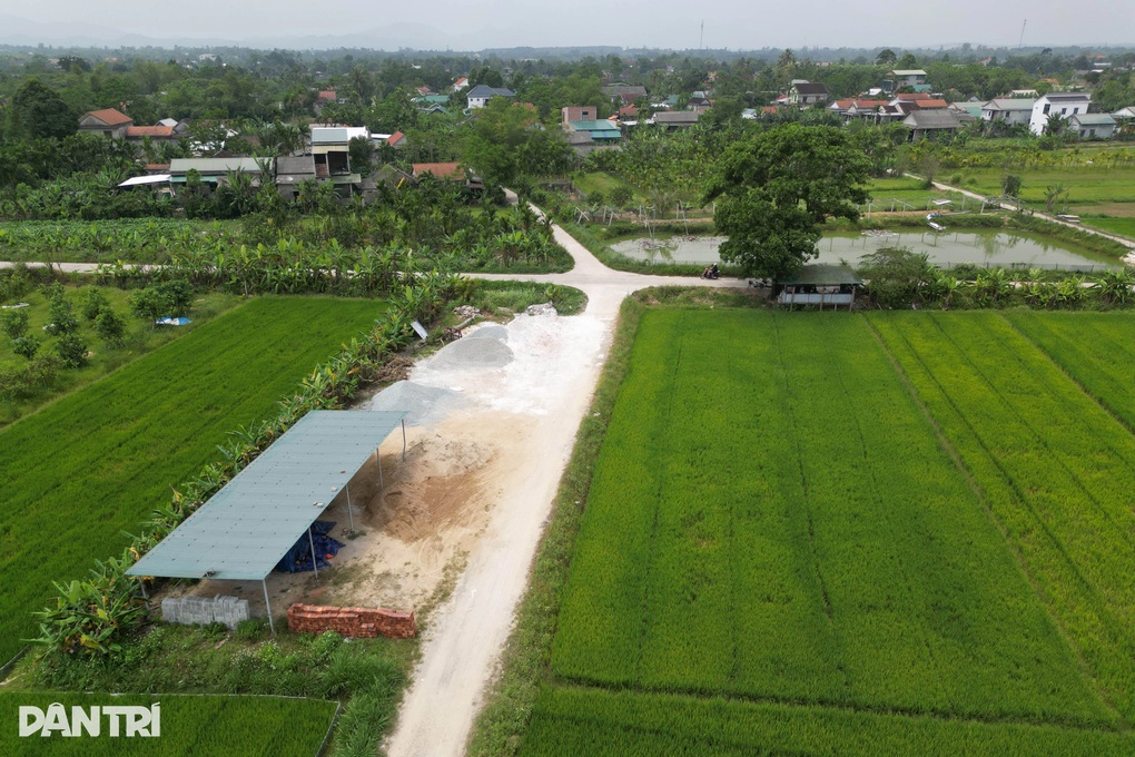 “Cây mắt biếc” từng vào bối cảnh phim Việt gây sốt, giờ ra sao? - 2