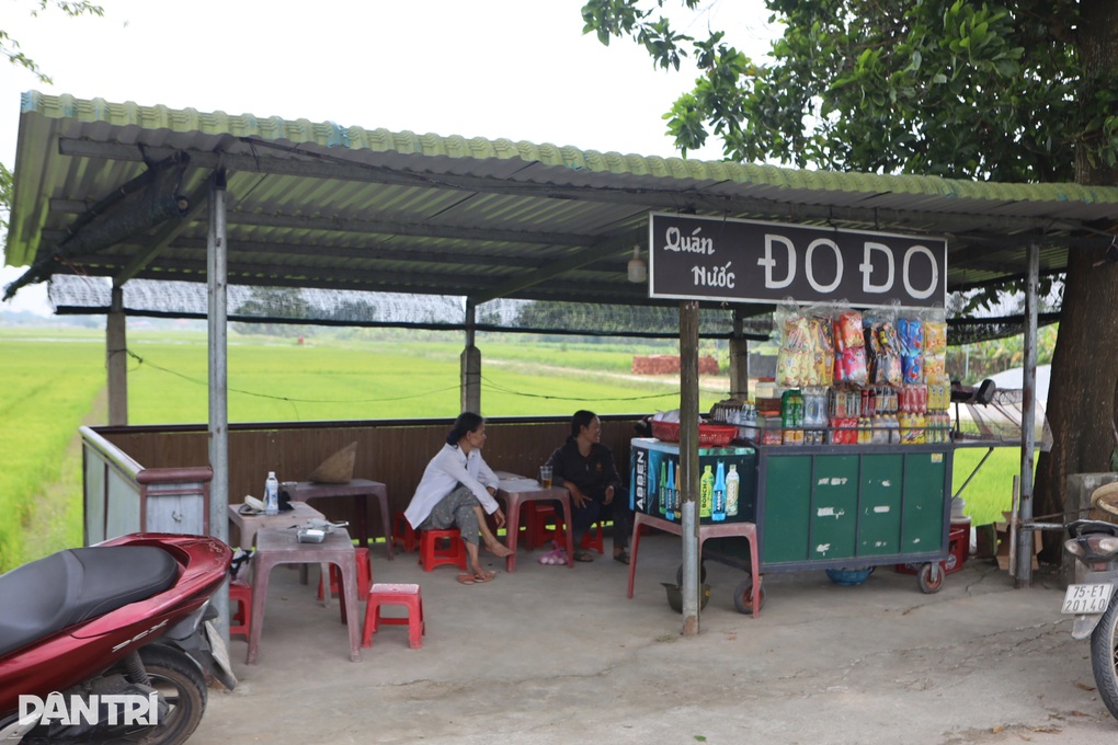 “Cây mắt biếc” từng vào bối cảnh phim Việt gây sốt, giờ ra sao? - 3