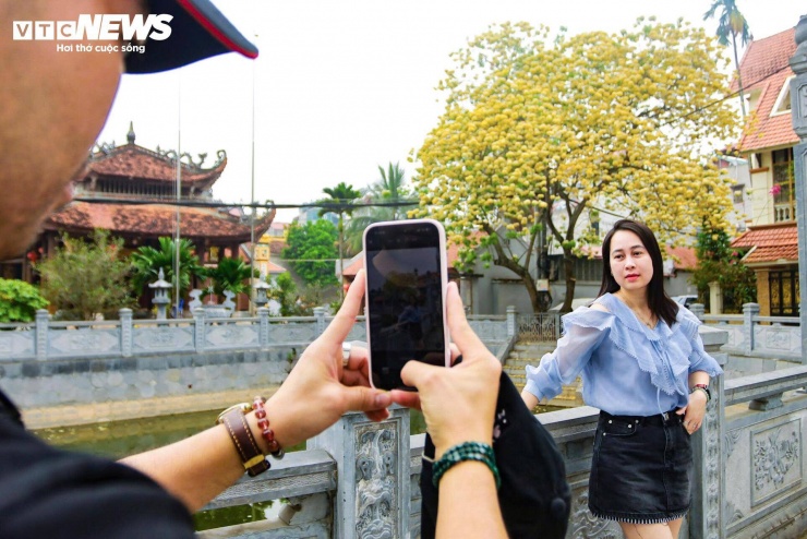 “Tôi đi qua khu vực này thì thấy cây nở rực rỡ nên dừng lại chụp vài tấm. Hoa có hình dáng khá lạ, lên ảnh nhìn rất khác so với nhiều loài khác”, chị Ngọc Anh (ở Hà Nội) chia sẻ.