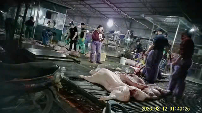 Bên trong lò mổ Vạn Phúc. Ảnh: Công an cung cấp