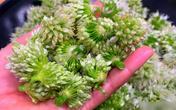 Loại rau nhiều người biết, ít người ăn, đừng chỉ ăn lá, hoa cũng cực tươi ngon, mềm mại, thơm phức 4 Loại rau nhiều người biết, ít người ăn, đừng chỉ ăn lá, hoa cũng cực tươi ngon, mềm mại, thơm phức - 3