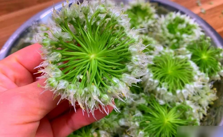 Loại rau nhiều người biết, ít người ăn, đừng chỉ ăn lá, hoa cũng cực tươi ngon, mềm mại, thơm phức 10 Loại rau nhiều người biết, ít người ăn, đừng chỉ ăn lá, hoa cũng cực tươi ngon, mềm mại, thơm phức - 9