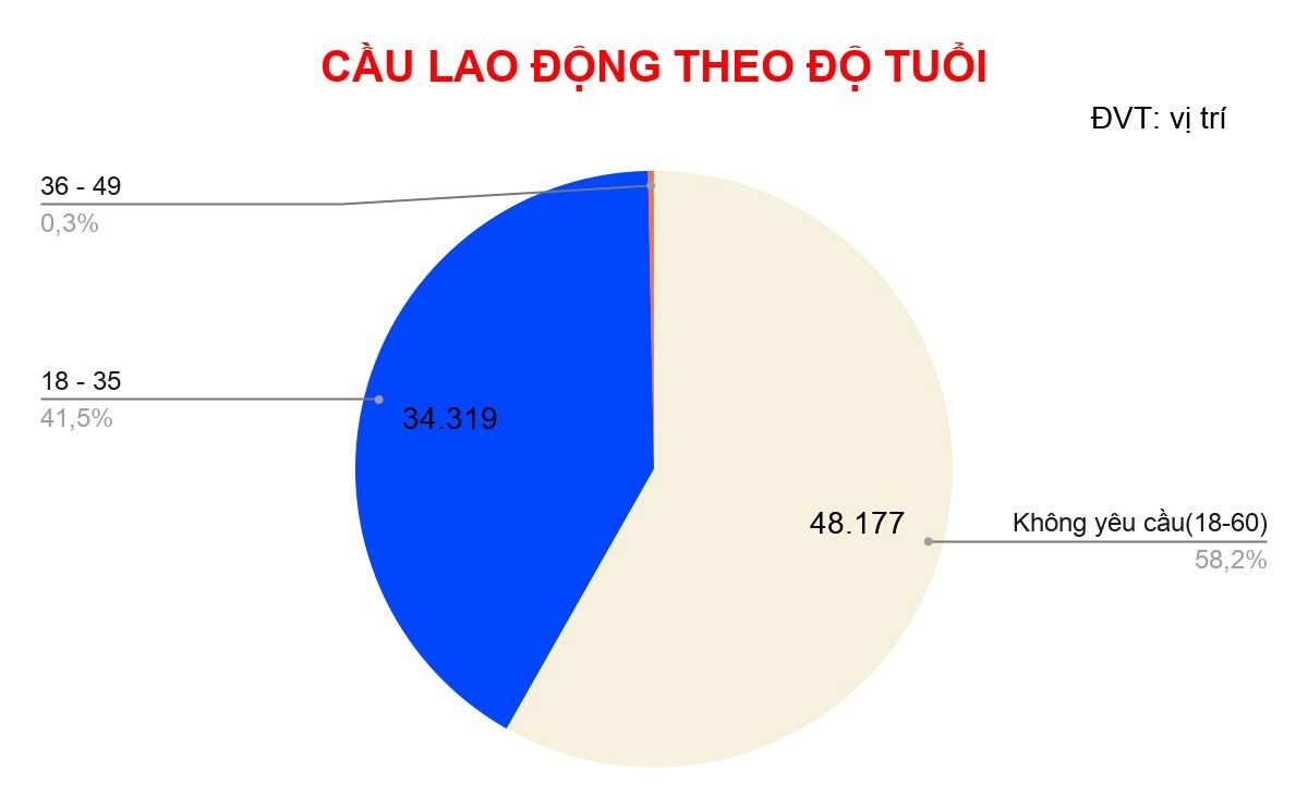 Người 36 - 49 tuổi ở TP.HCM tìm việc làm nhiều nhất nhưng doanh nghiệp không mặn - Ảnh 3.