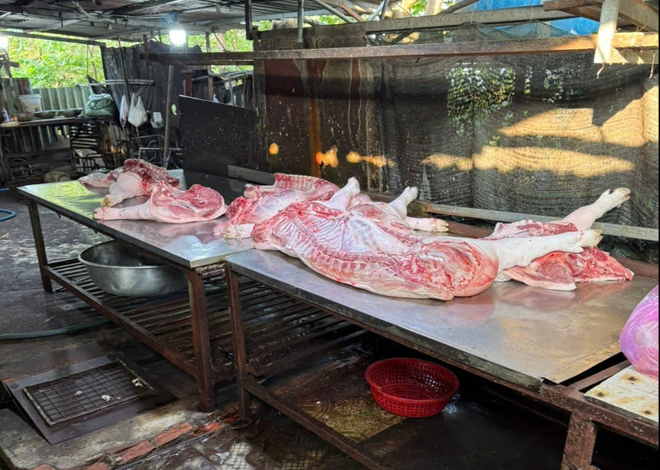 Đột kích 2 lò giết mổ heo trái phép trong hẻm sâu ở TP.HCM - Ảnh 3.