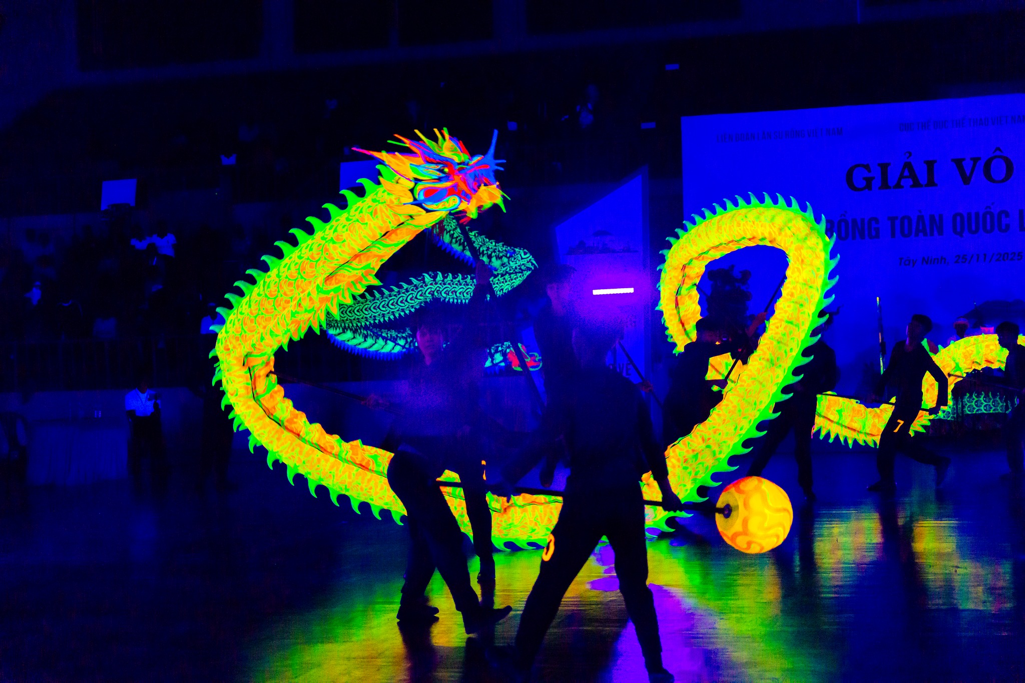 'Tinh hoa lân sư rồng' lần đầu hội tụ tại quảng trường Lâm Viên- Ảnh 3.