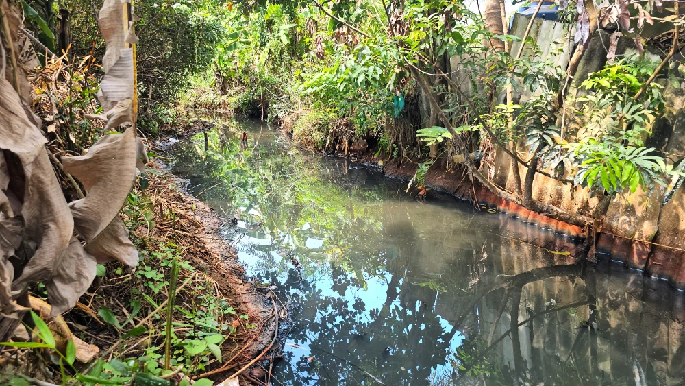 KCN Phúc Long 2.jpg