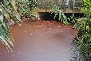 Nước thải từ KCN tràn ra kênh nội đồng, người dân vẫn mòn mỏi chờ xử lý