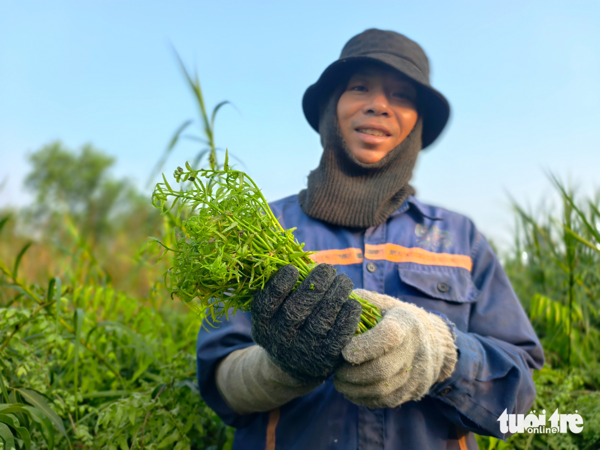 Len lỏi vào bụi rậm, hái đọt choại mưu sinh ở vùng ven TP.HCM - Ảnh 2.