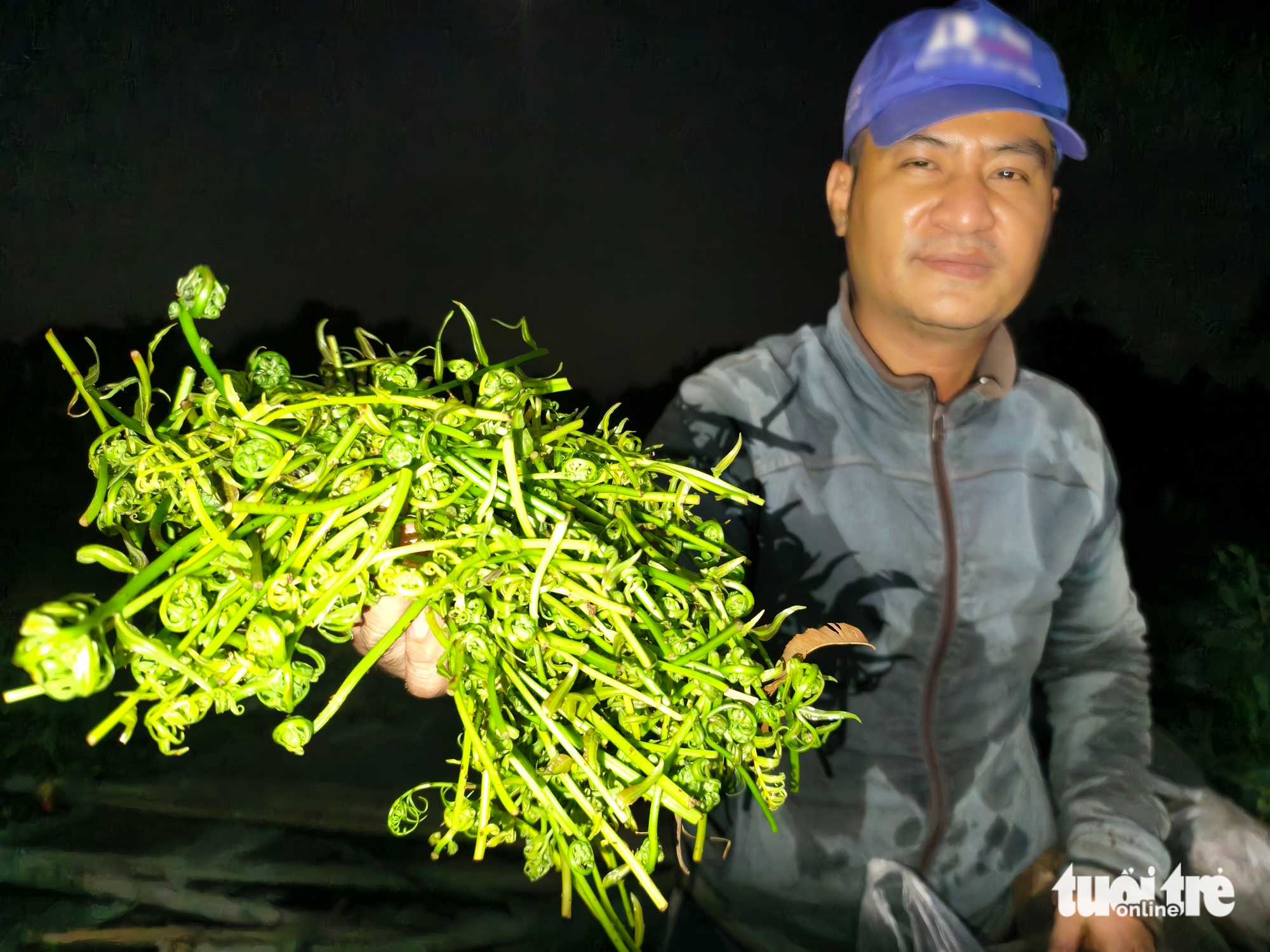 đọt choại - Ảnh 5.