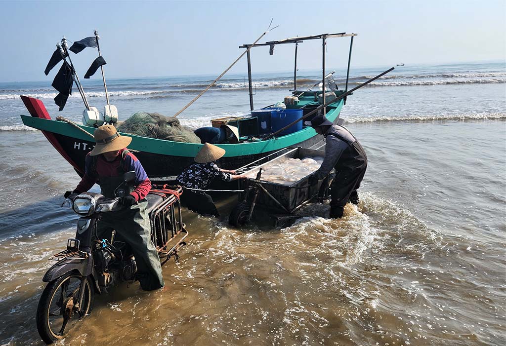 Những khoang thuyền chở 'vàng trắng' về bờ 2 Mùa lộc biển: Những khoang thuyền chở 'vàng trắng' về bờ - Ảnh 2.