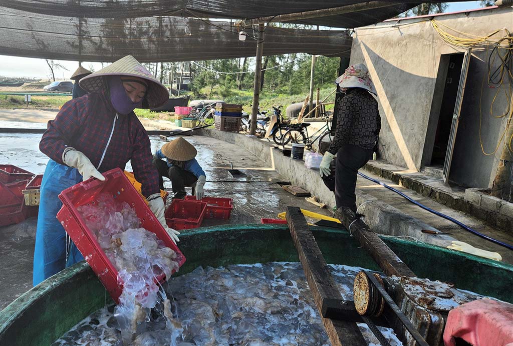 Những khoang thuyền chở 'vàng trắng' về bờ 3 Mùa lộc biển: Những khoang thuyền chở 'vàng trắng' về bờ - Ảnh 3.