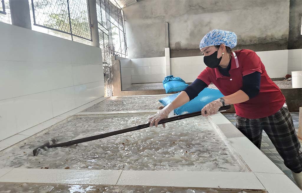 Những khoang thuyền chở 'vàng trắng' về bờ 7 Mùa lộc biển: Những khoang thuyền chở 'vàng trắng' về bờ - Ảnh 7.